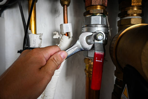 Best Residential Plumbing Services  in Belle Plaine, MN